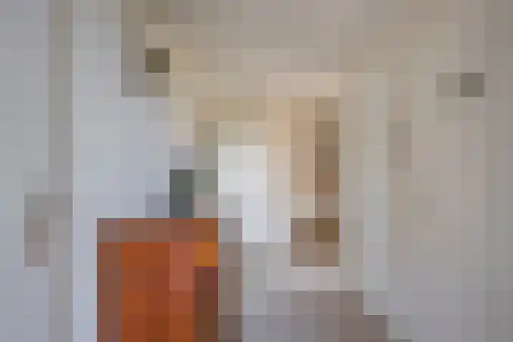 Ganzenbeekstraat 6 Voorthuizen thumbnail 9