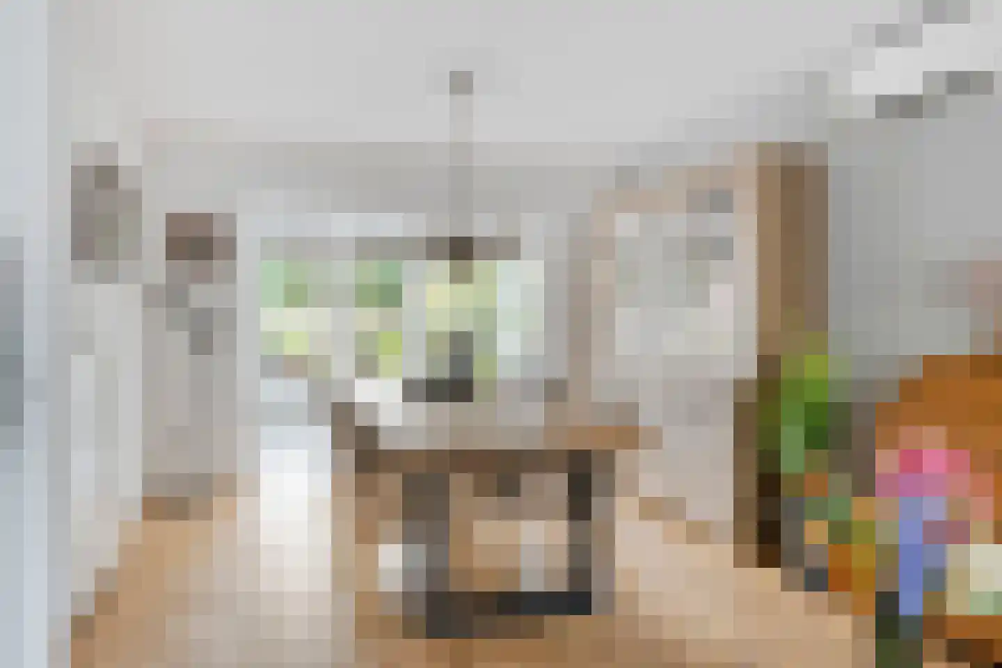 Ganzenbeemd 36 Chaam thumbnail 10
