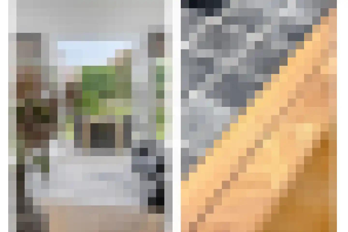 Ganzenbeemd 36 Chaam thumbnail 12