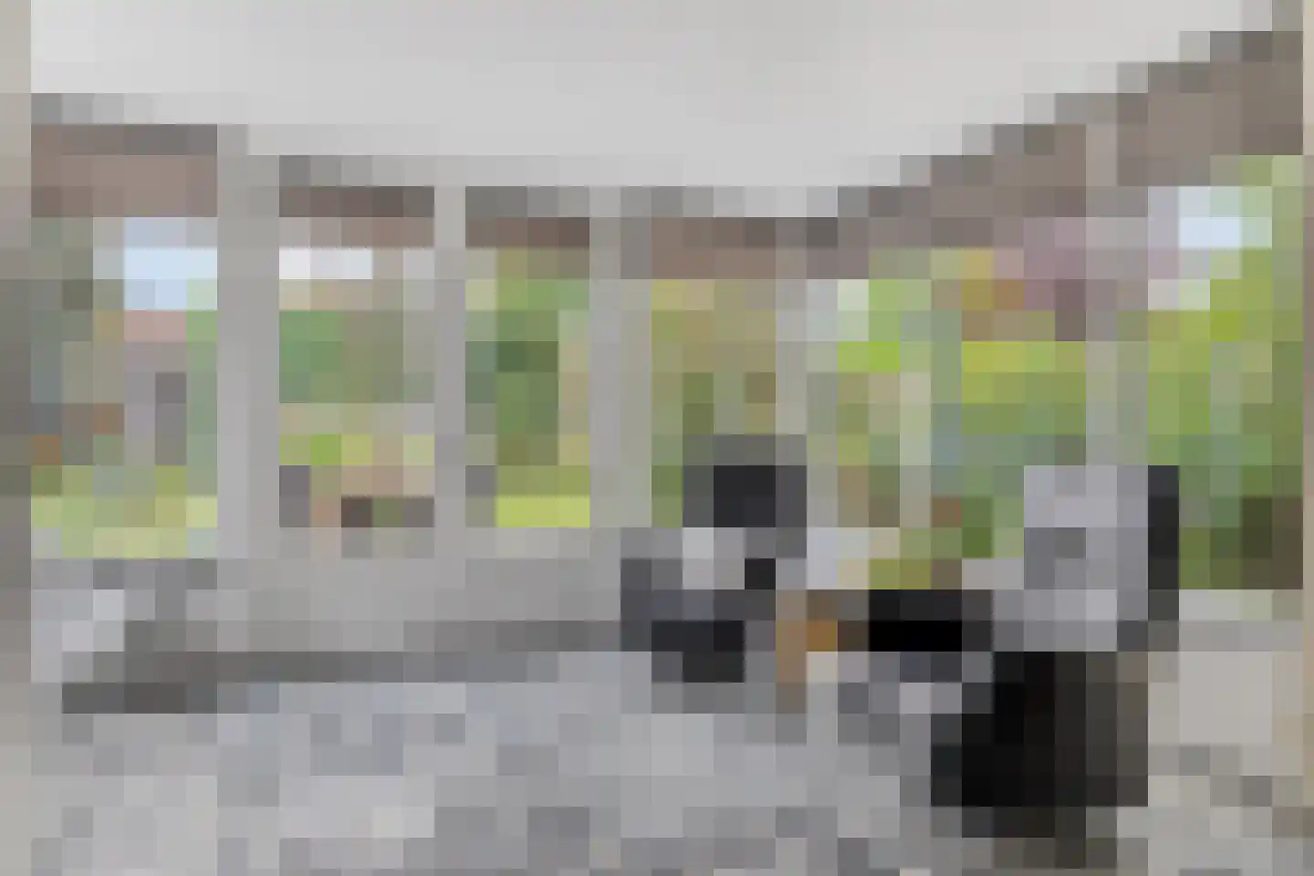 Ganzenbeemd 36 Chaam thumbnail 13