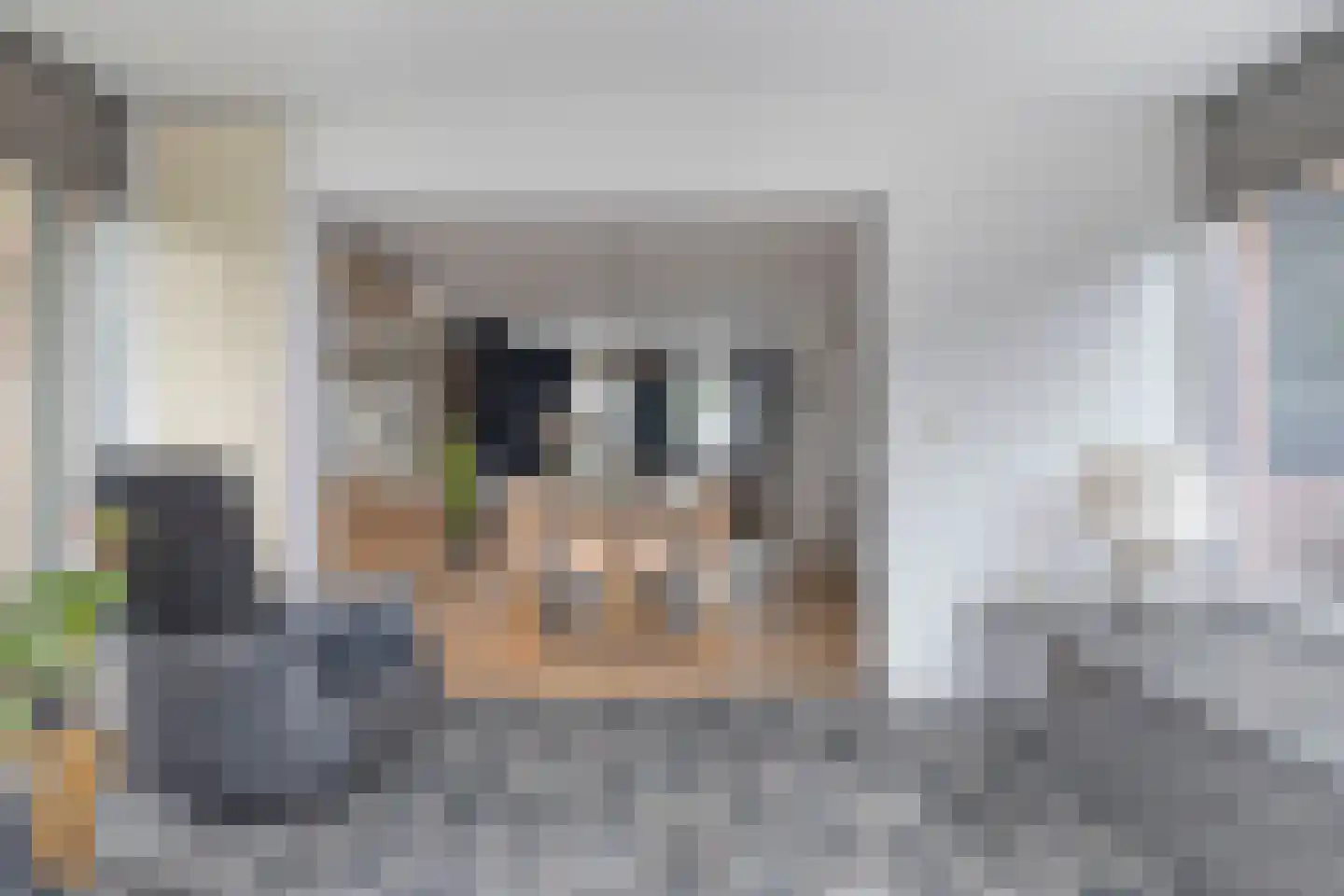 Ganzenbeemd 36 Chaam thumbnail 15
