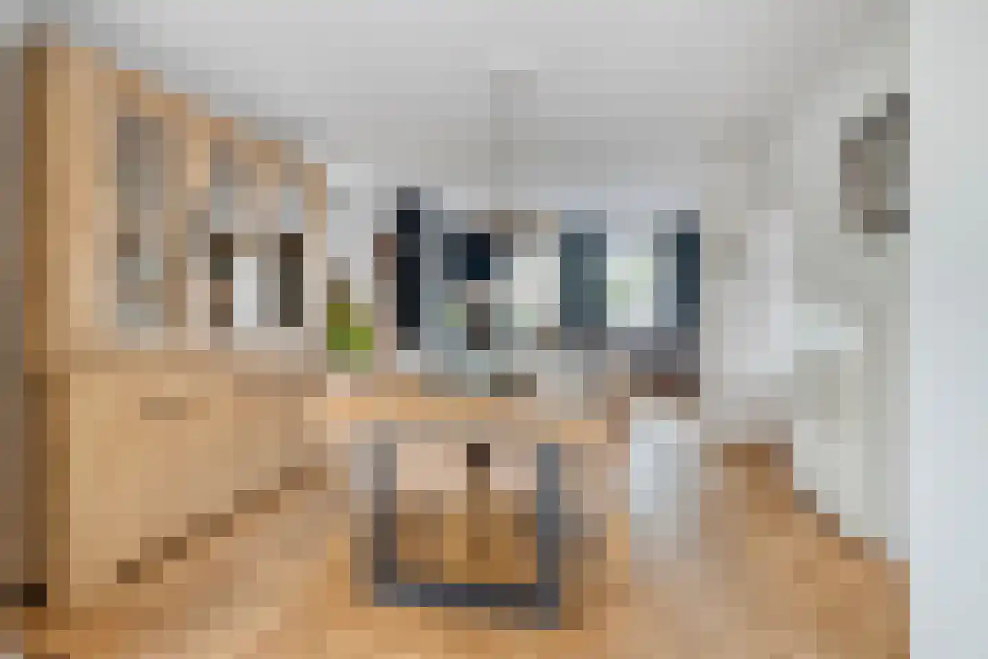 Ganzenbeemd 36 Chaam thumbnail 16