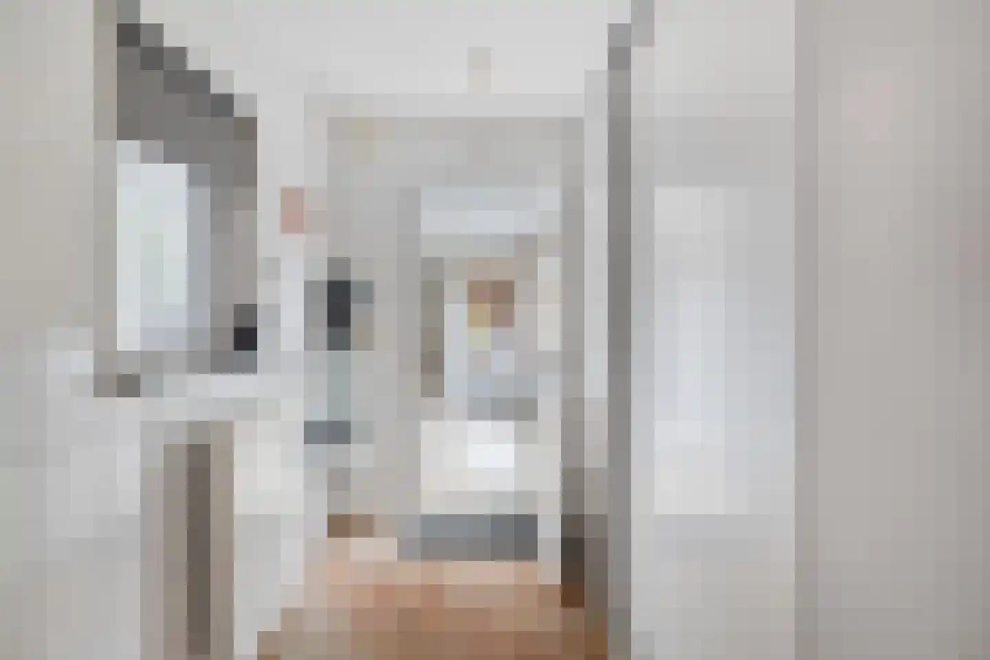 Ganzenbeemd 36 Chaam thumbnail 24