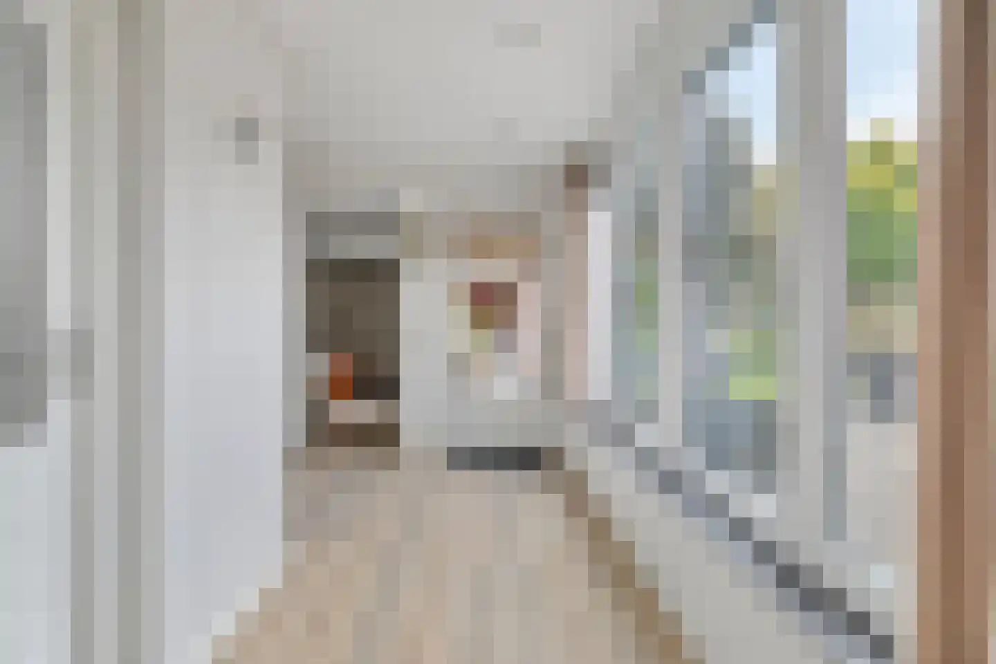 Ganzenbeemd 36 Chaam thumbnail 25