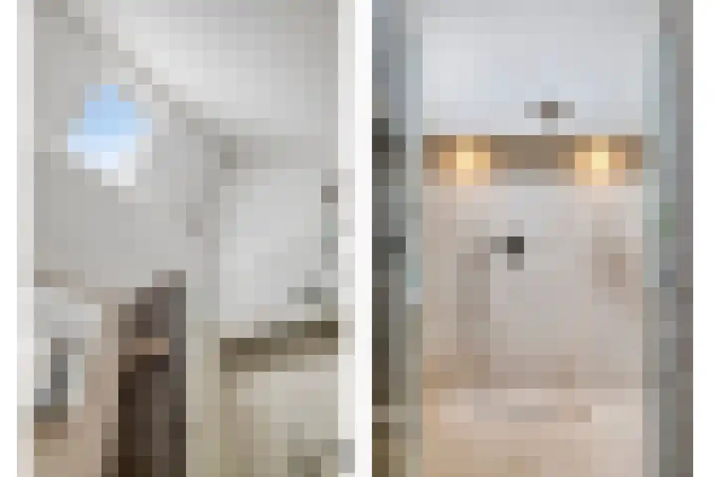 Ganzenbeemd 36 Chaam thumbnail 31