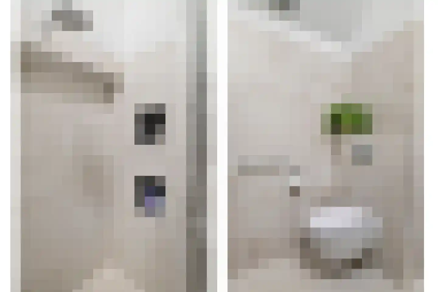 Ganzenbeemd 36 Chaam thumbnail 32