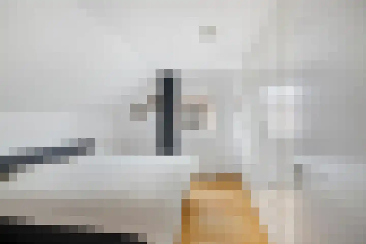 Ganzenbeemd 36 Chaam thumbnail 36