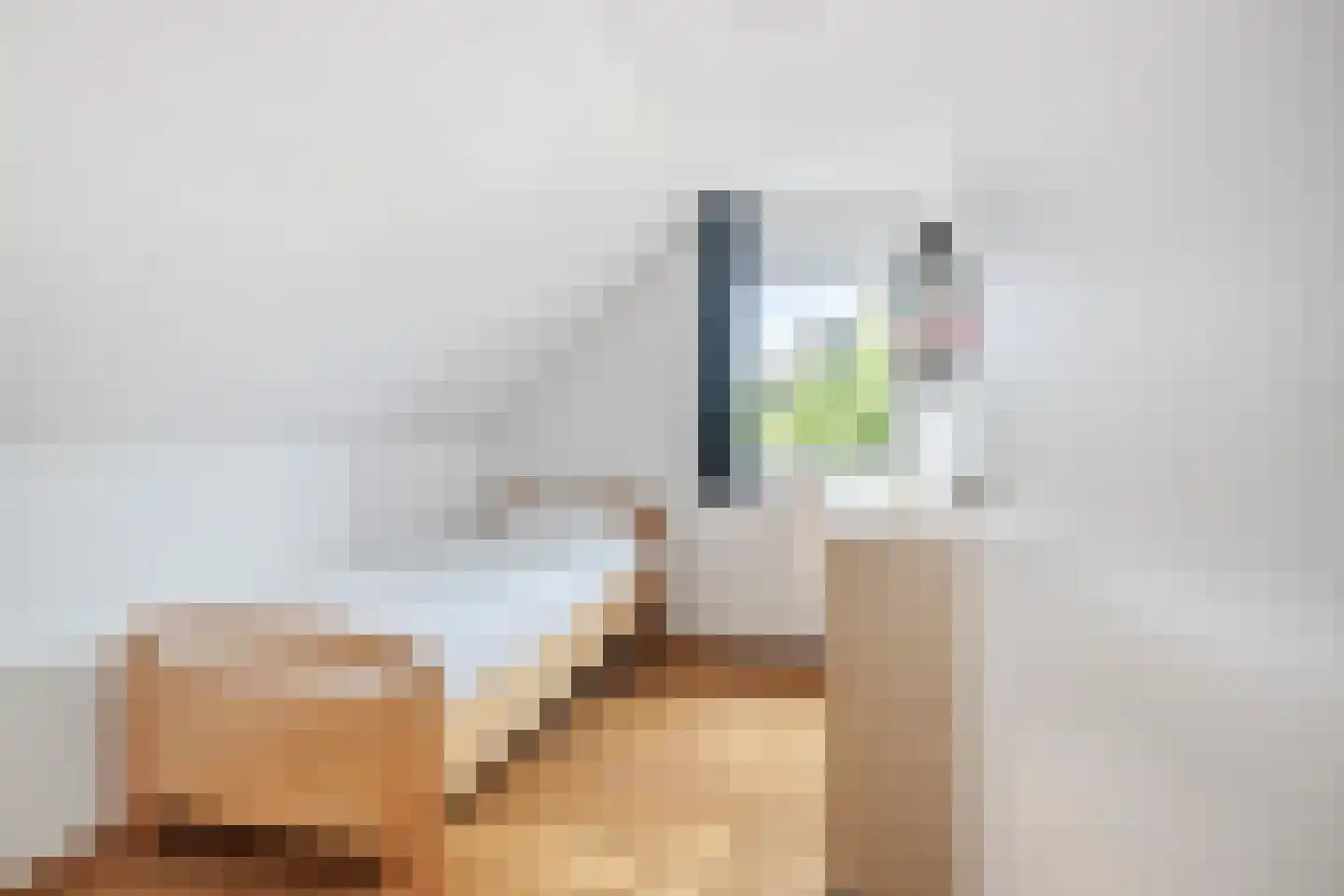 Ganzenbeemd 36 Chaam thumbnail 38