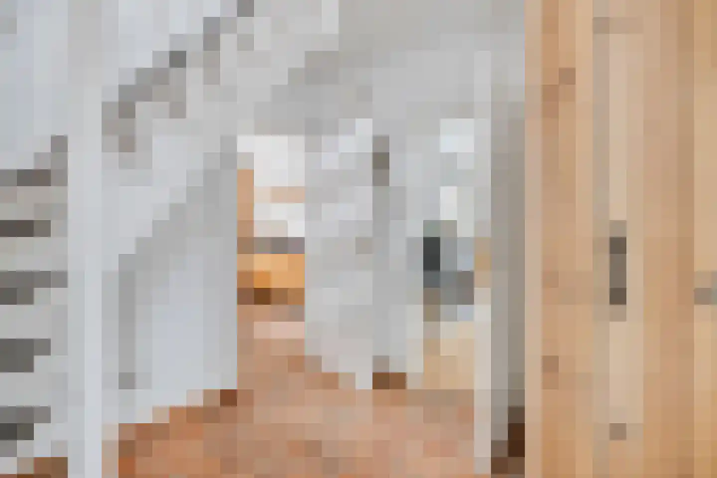 Ganzenbeemd 36 Chaam thumbnail 4
