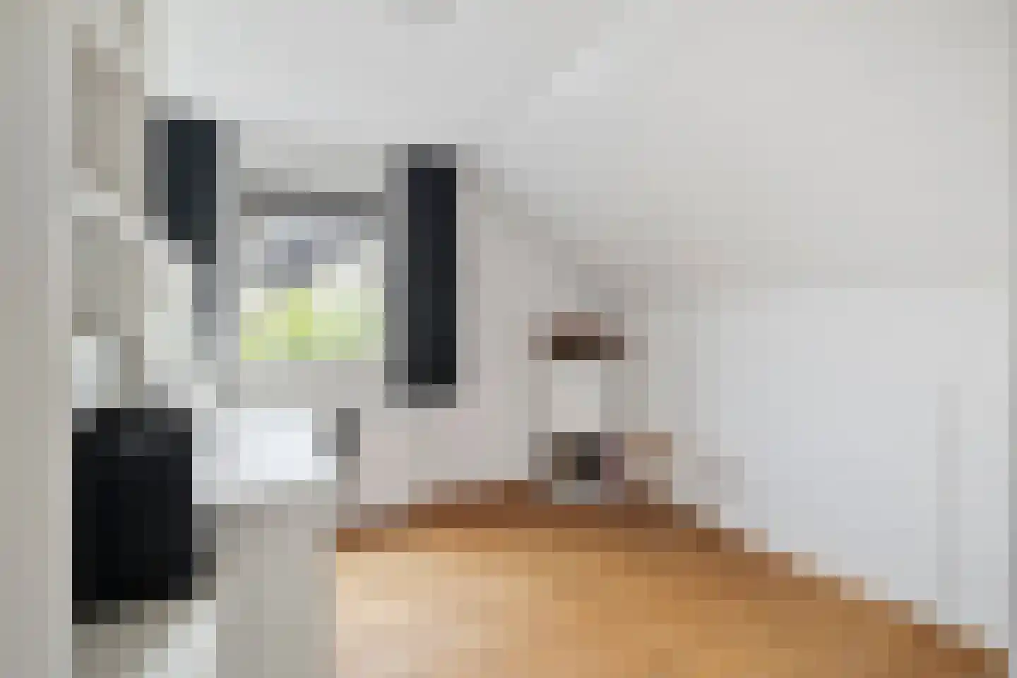 Ganzenbeemd 36 Chaam thumbnail 40