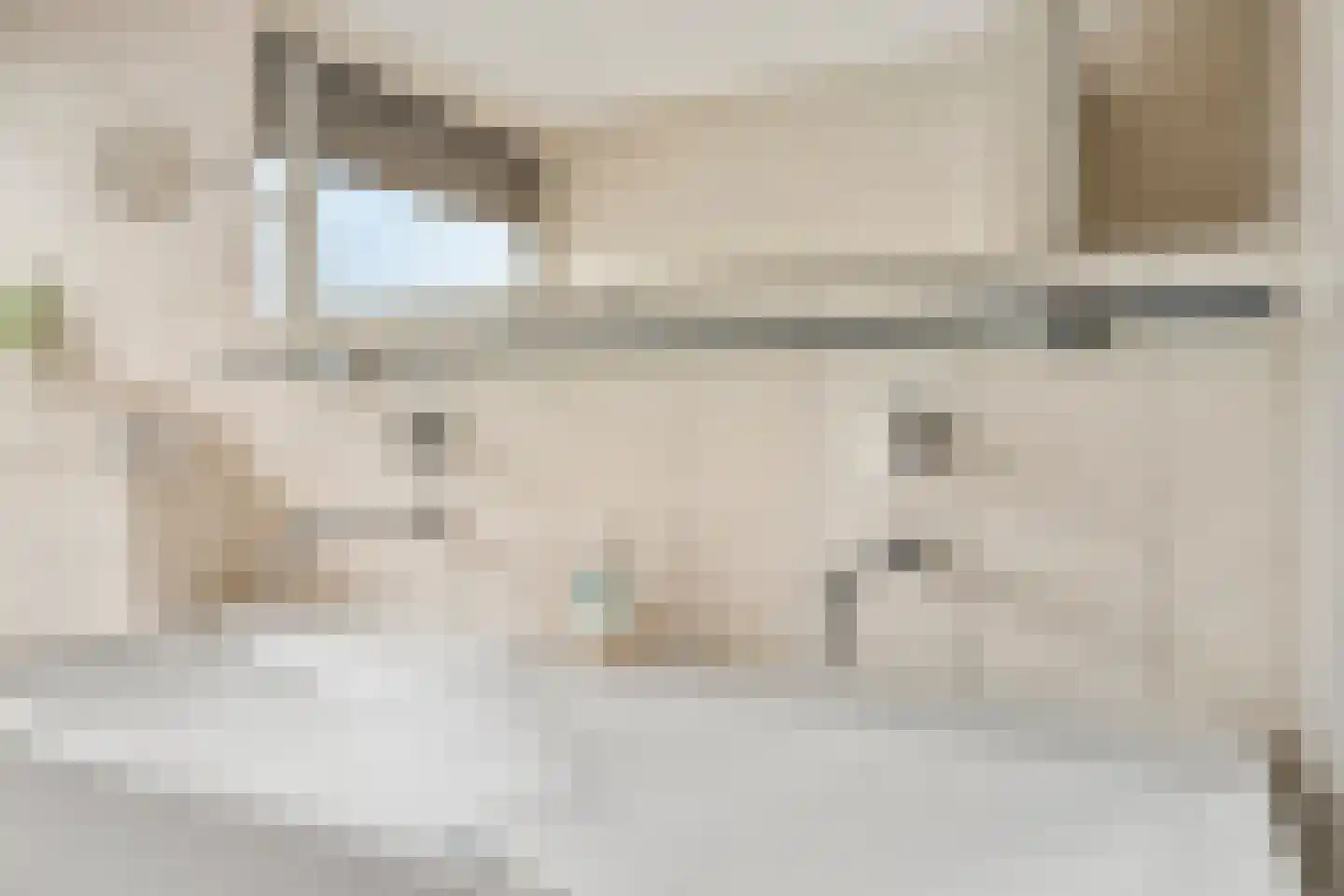 Ganzenbeemd 36 Chaam thumbnail 43