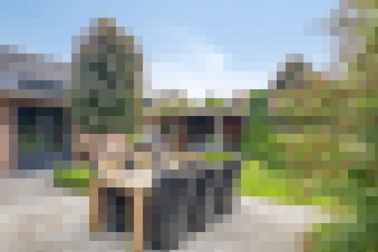 Ganzenbeemd 36 Chaam thumbnail 44