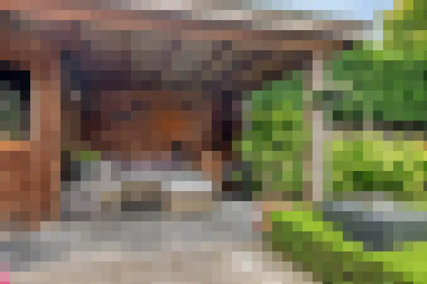 Ganzenbeemd 36 Chaam thumbnail 45
