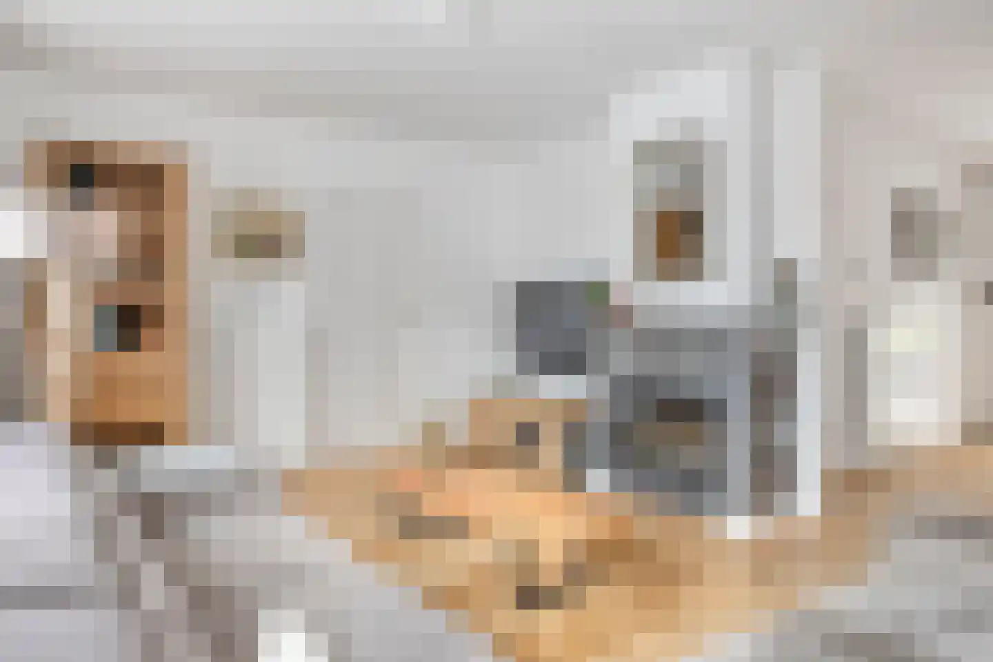 Ganzenbeemd 36 Chaam thumbnail 7