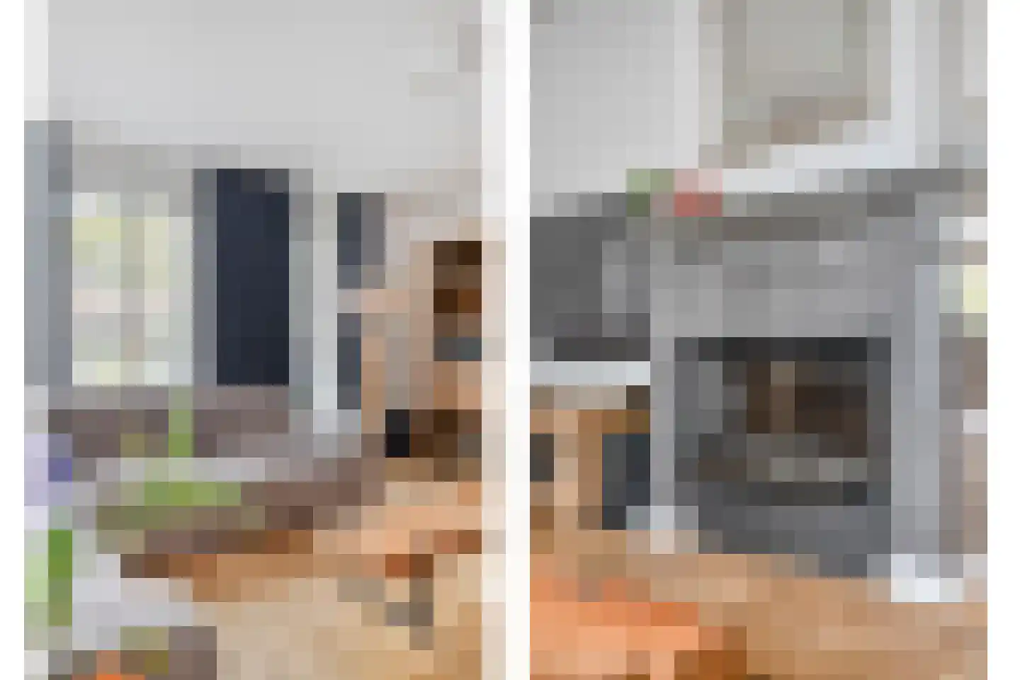 Ganzenbeemd 36 Chaam thumbnail 8