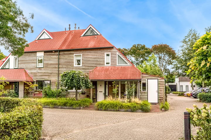 Ganzenbord 2 in Beneden-Leeuwen photo