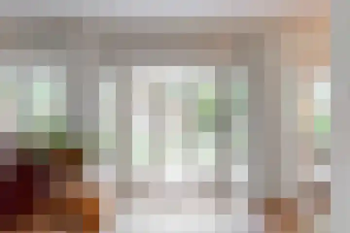 Ganzenbord 2 Beneden-Leeuwen thumbnail 11