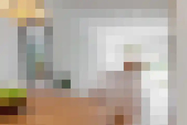 Ganzenbord 2 Beneden-Leeuwen thumbnail 15