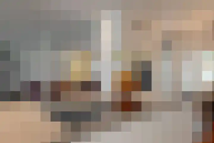 Ganzenbord 2 Beneden-Leeuwen thumbnail 18