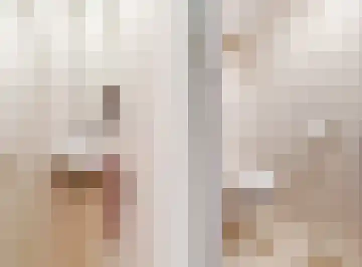 Ganzenbord 2 Beneden-Leeuwen thumbnail 19