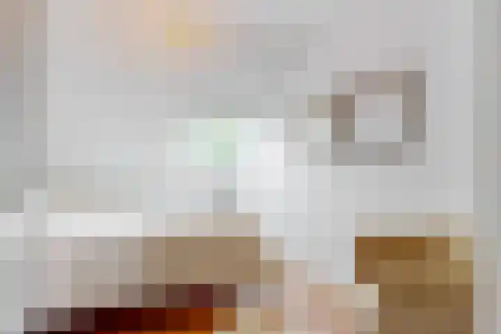 Ganzenbord 2 Beneden-Leeuwen thumbnail 23