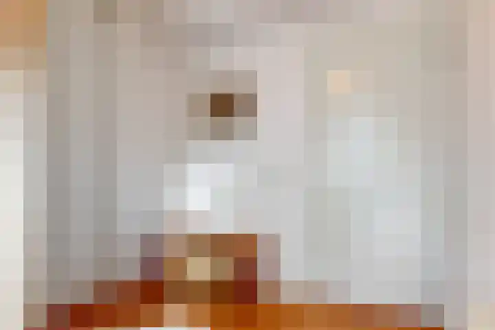 Ganzenbord 2 Beneden-Leeuwen thumbnail 26