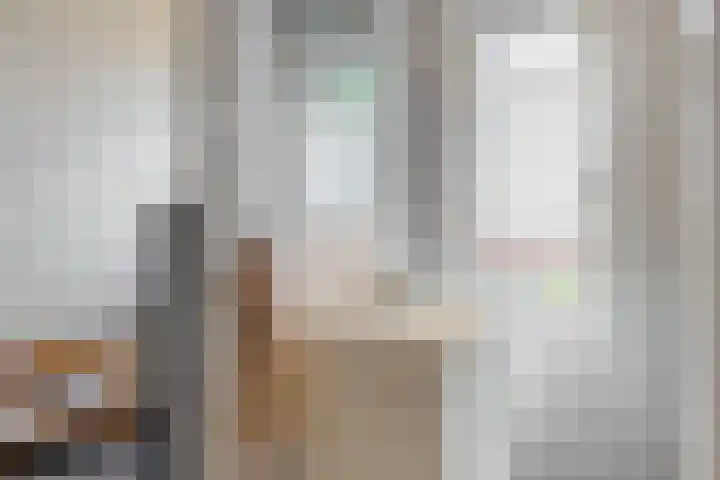 Ganzenbord 2 Beneden-Leeuwen thumbnail 29
