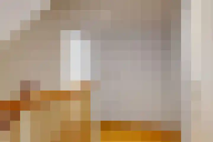 Ganzenbord 2 Beneden-Leeuwen thumbnail 30