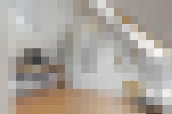 Ganzenbord 2 Beneden-Leeuwen thumbnail 31