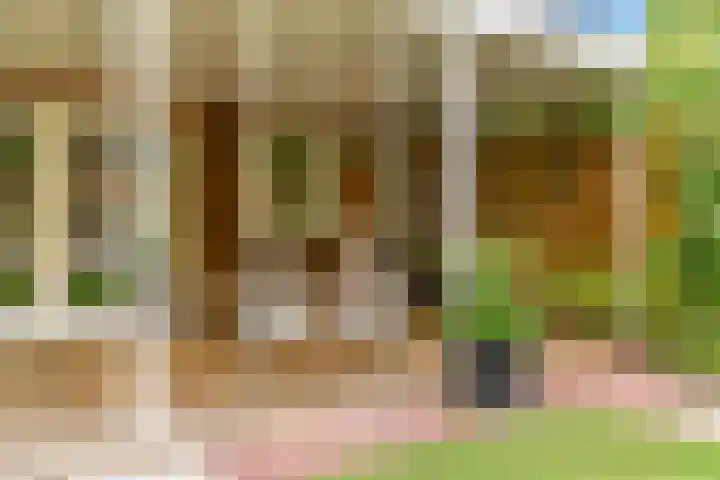 Ganzenbord 2 Beneden-Leeuwen thumbnail 34