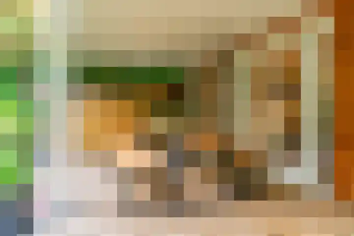 Ganzenbord 2 Beneden-Leeuwen thumbnail 35