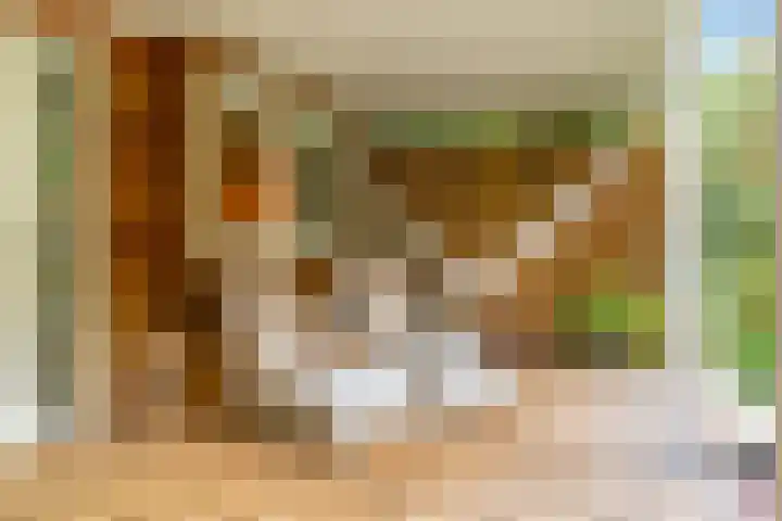 Ganzenbord 2 Beneden-Leeuwen thumbnail 36