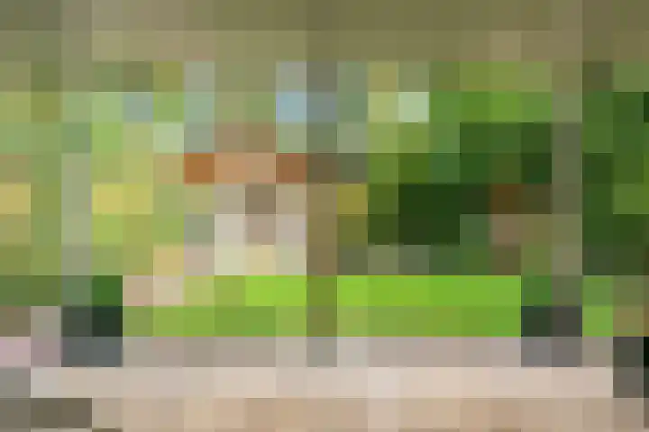 Ganzenbord 2 Beneden-Leeuwen thumbnail 38