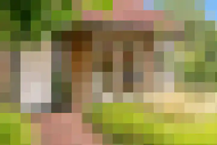 Ganzenbord 2 Beneden-Leeuwen thumbnail 4