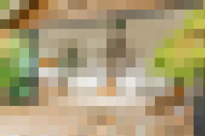 Ganzenbord 2 Beneden-Leeuwen thumbnail 40