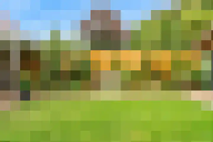 Ganzenbord 2 Beneden-Leeuwen thumbnail 41