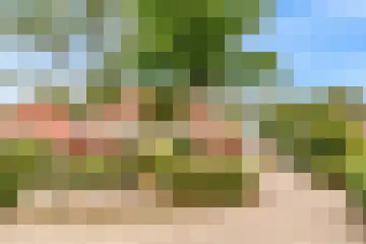 Ganzenbord 2 Beneden-Leeuwen thumbnail 42