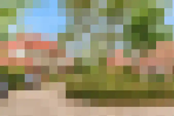 Ganzenbord 2 Beneden-Leeuwen thumbnail 43