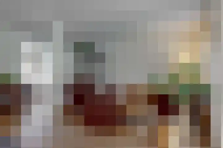 Ganzenbord 2 Beneden-Leeuwen thumbnail 8