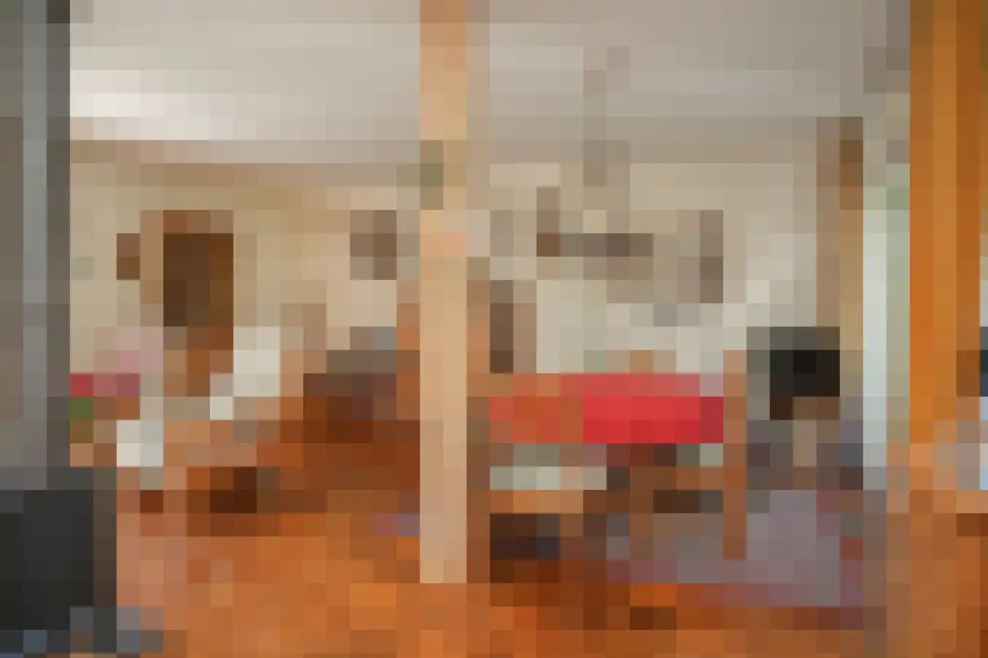 Ganzenbord 8 Beneden-Leeuwen thumbnail 10