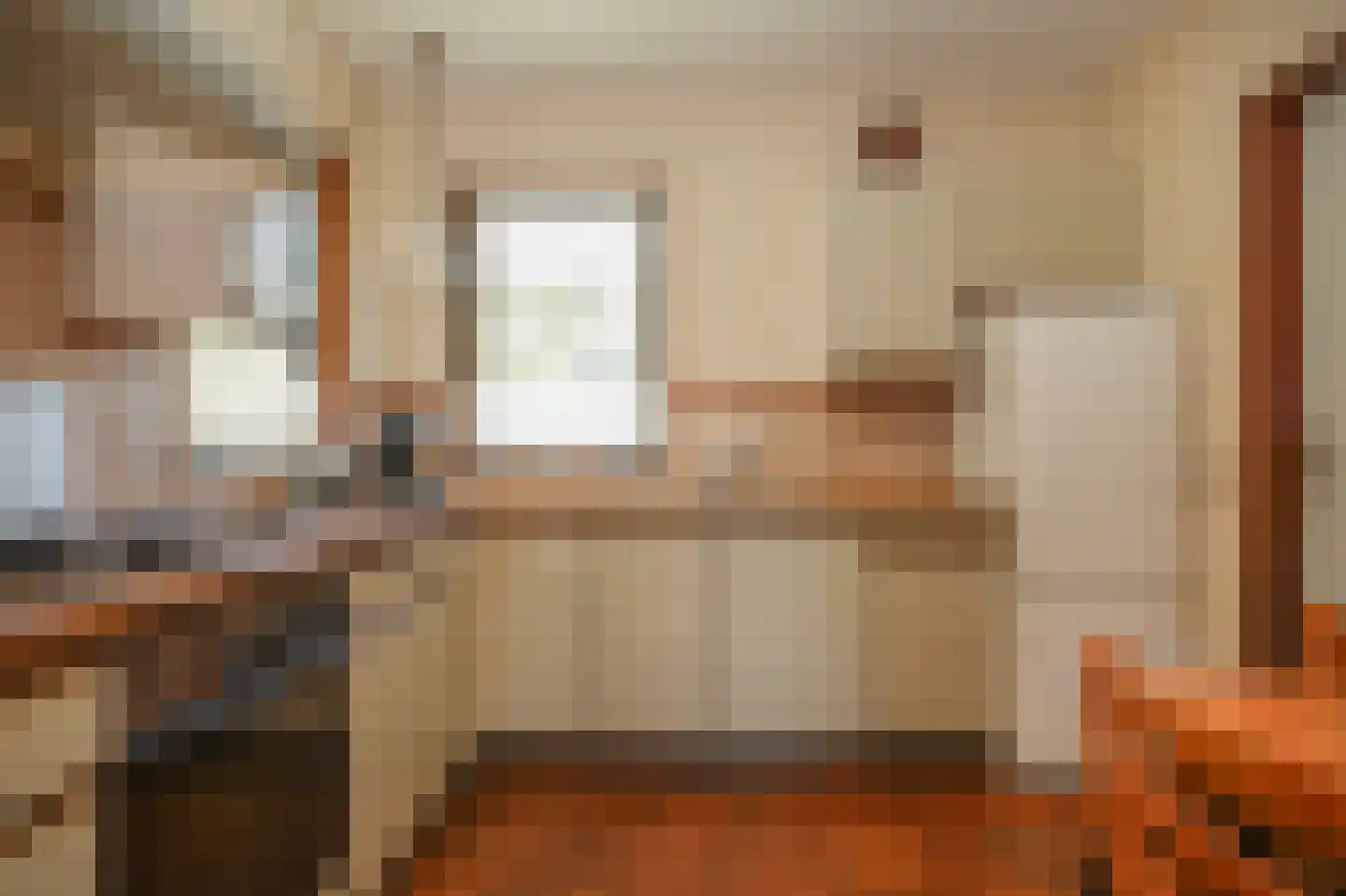 Ganzenbord 8 Beneden-Leeuwen thumbnail 12