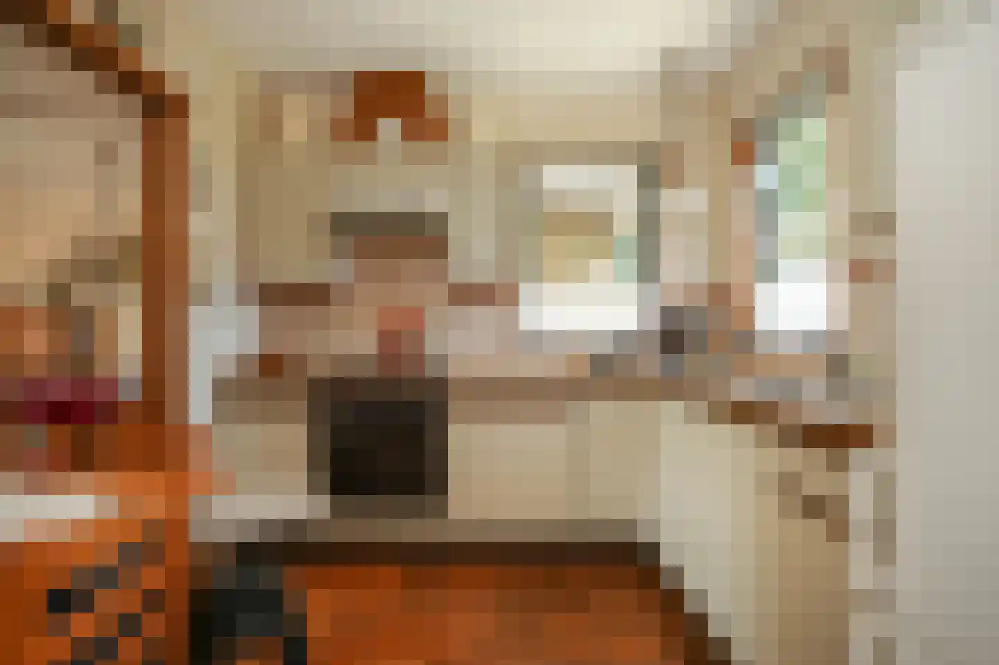Ganzenbord 8 Beneden-Leeuwen thumbnail 14