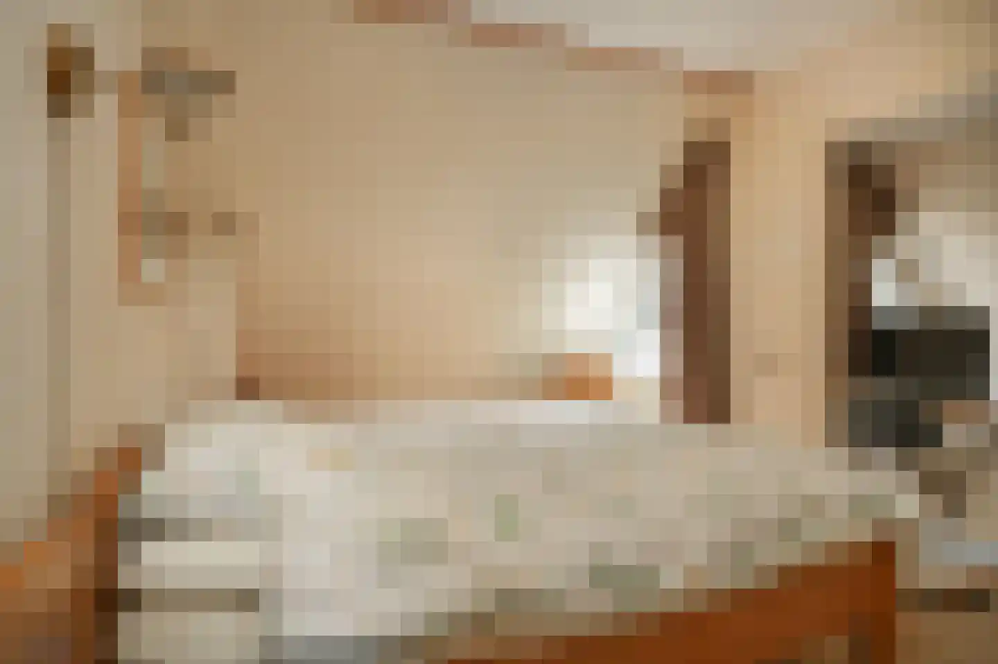 Ganzenbord 8 Beneden-Leeuwen thumbnail 16