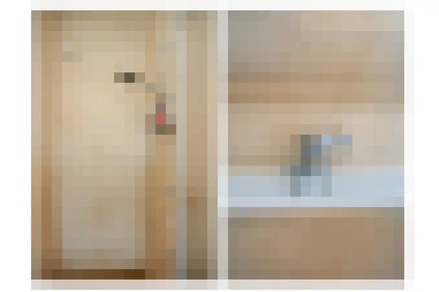 Ganzenbord 8 Beneden-Leeuwen thumbnail 19