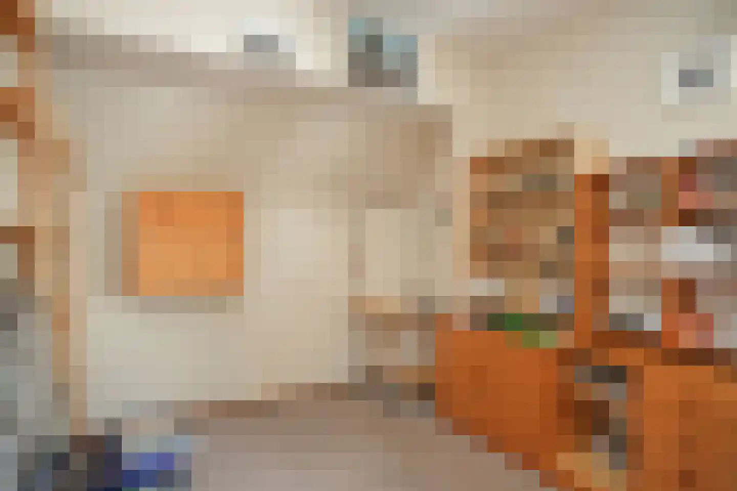 Ganzenbord 8 Beneden-Leeuwen thumbnail 20