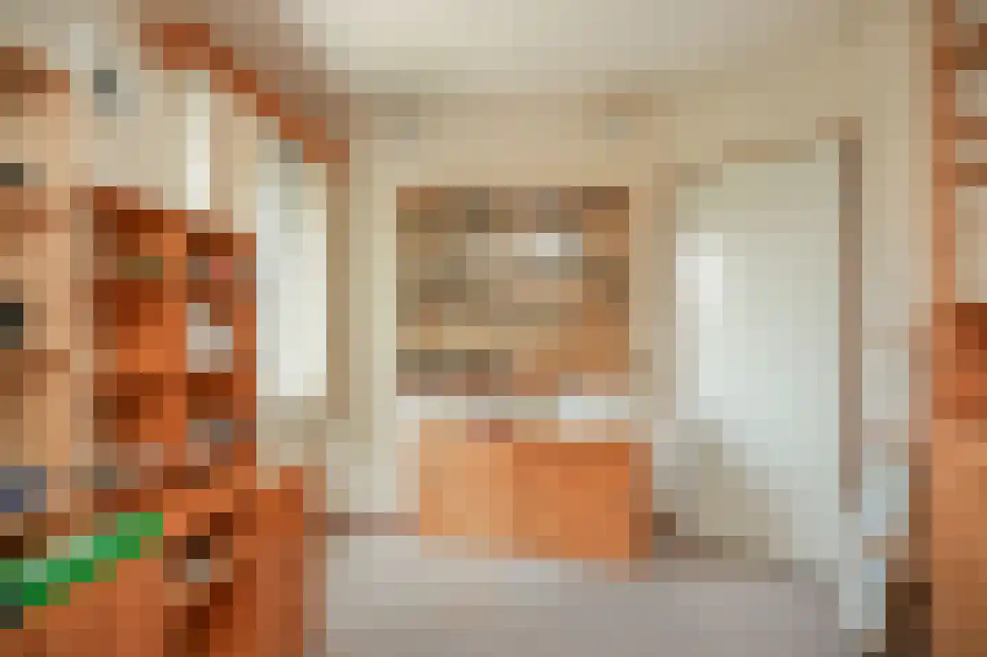 Ganzenbord 8 Beneden-Leeuwen thumbnail 21