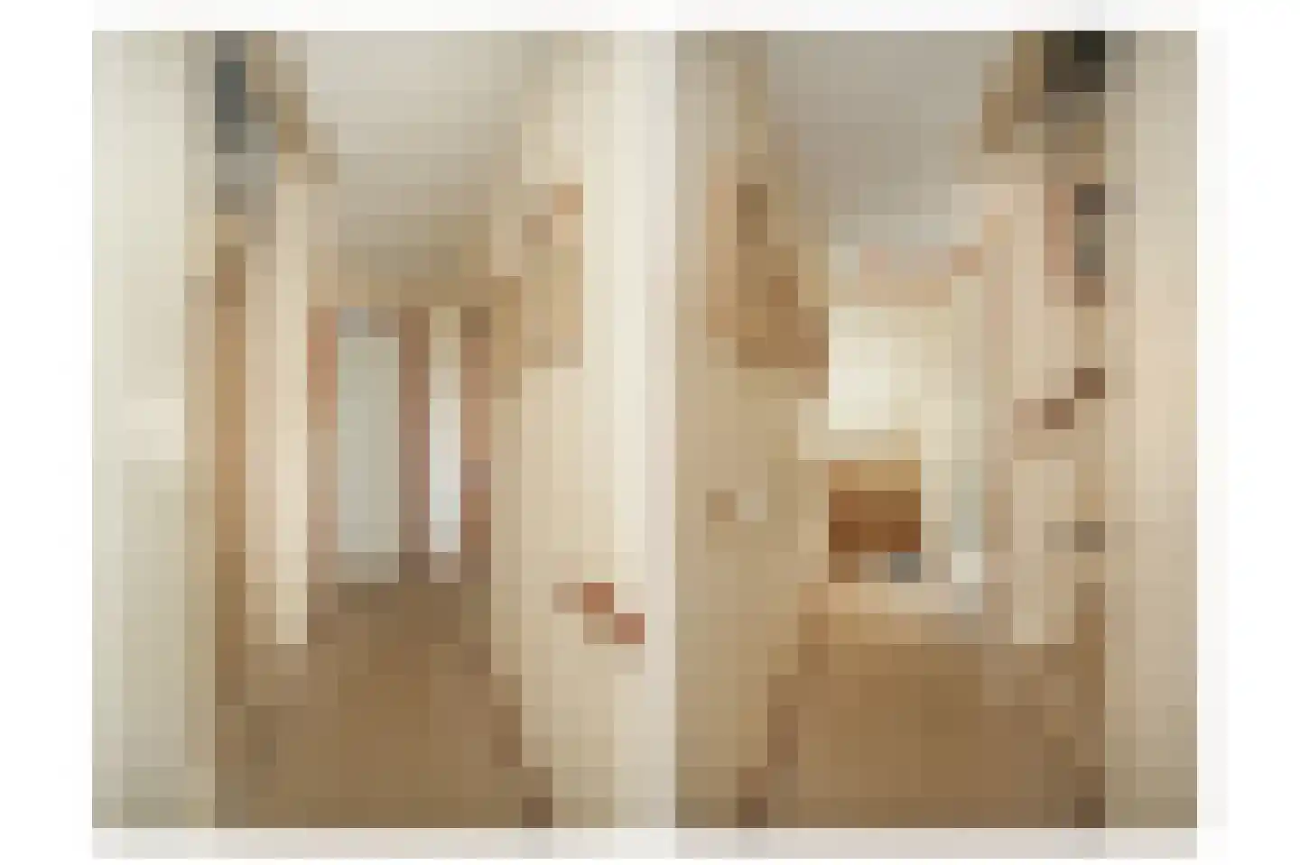 Ganzenbord 8 Beneden-Leeuwen thumbnail 23