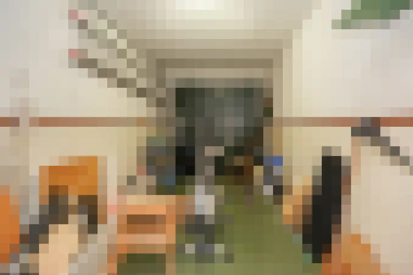 Ganzenbord 8 Beneden-Leeuwen thumbnail 25