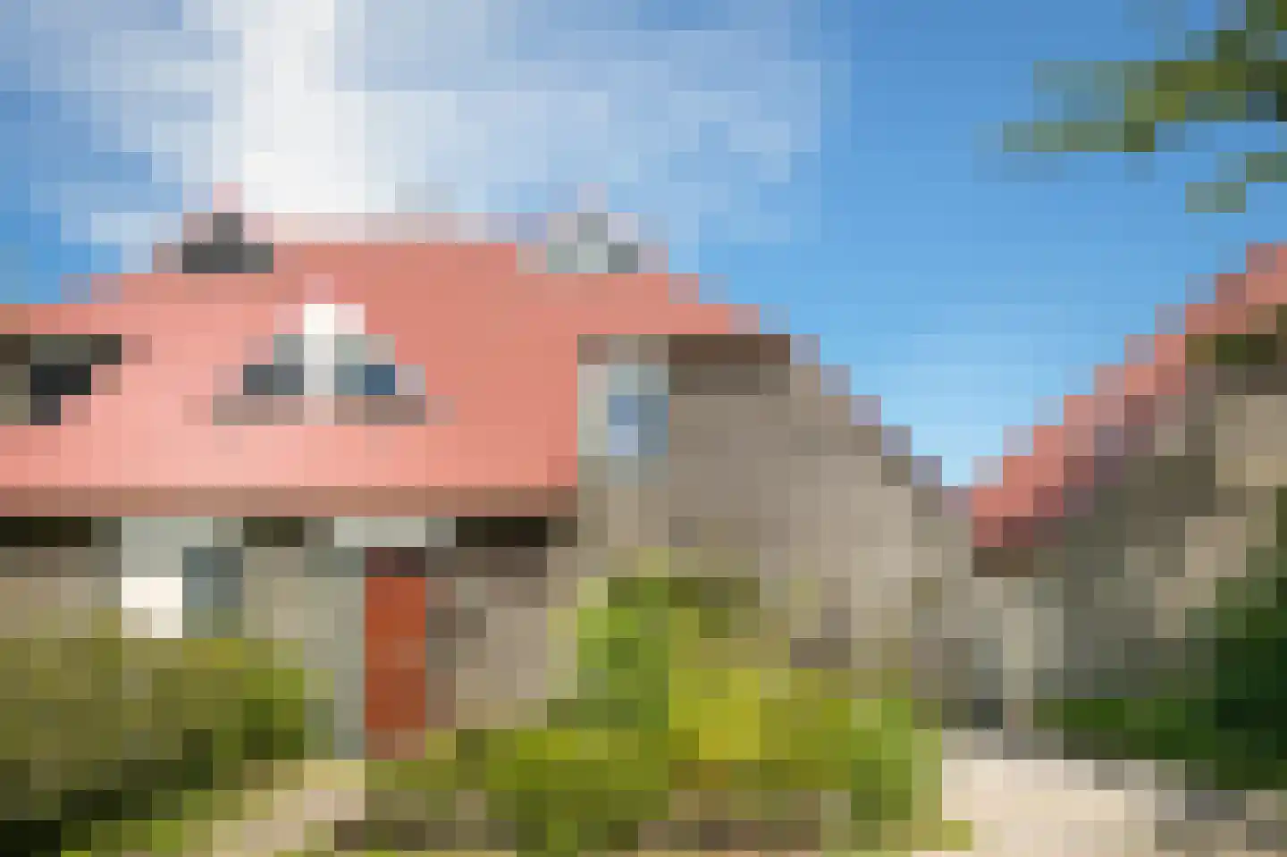 Ganzenbord 8 Beneden-Leeuwen thumbnail 26