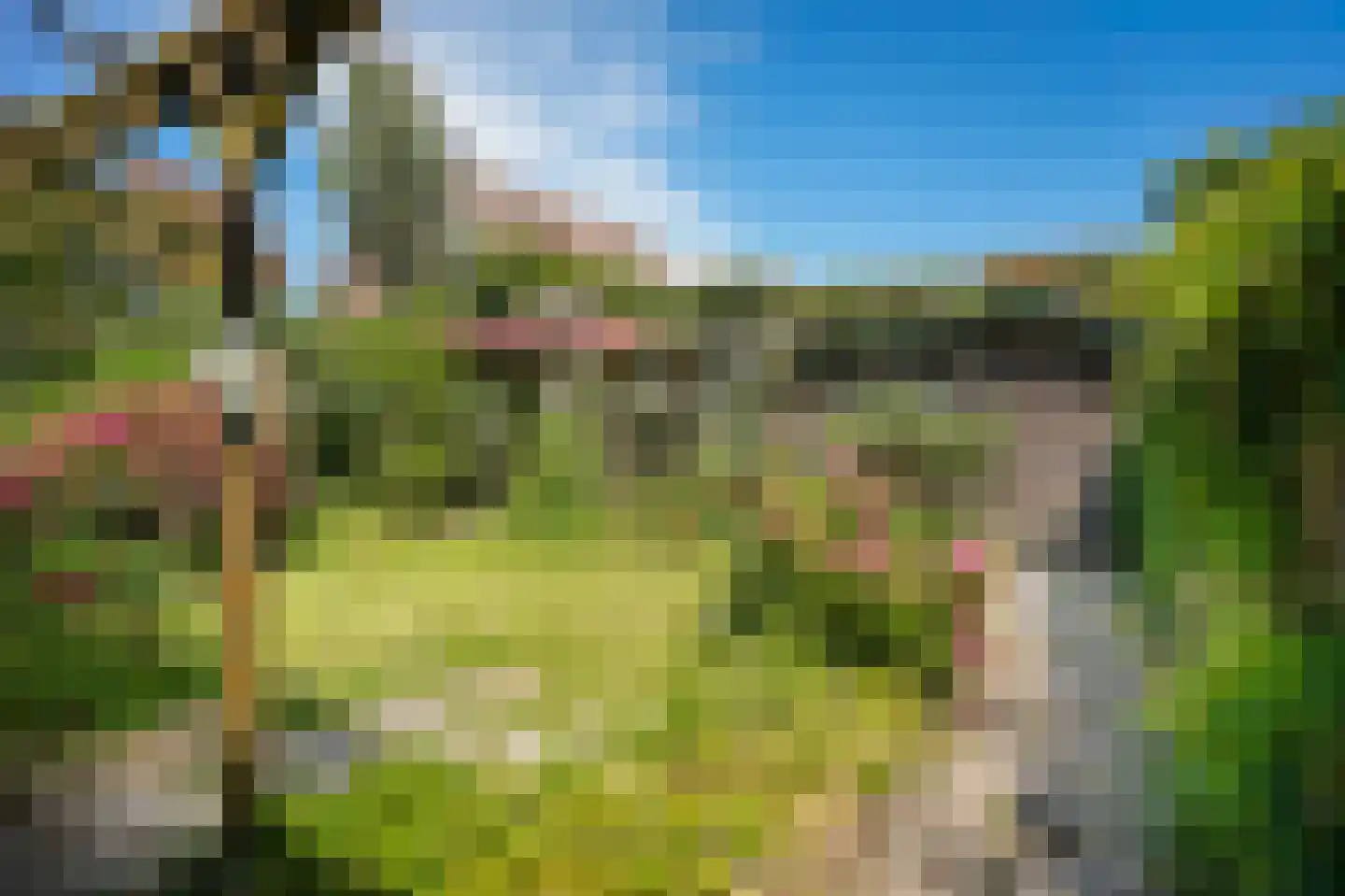 Ganzenbord 8 Beneden-Leeuwen thumbnail 27
